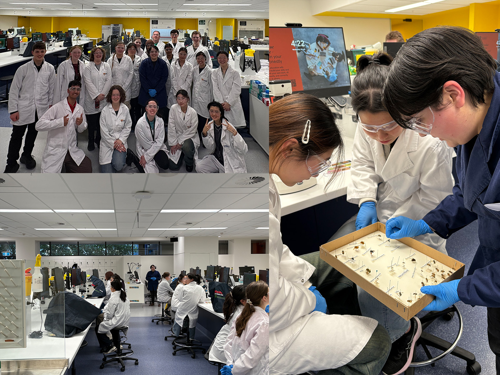 National Youth Science Forum Workshop 2025