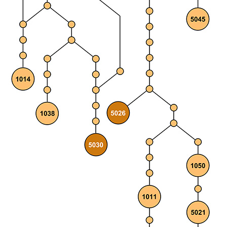 fernandes2018phenotypic.jpg